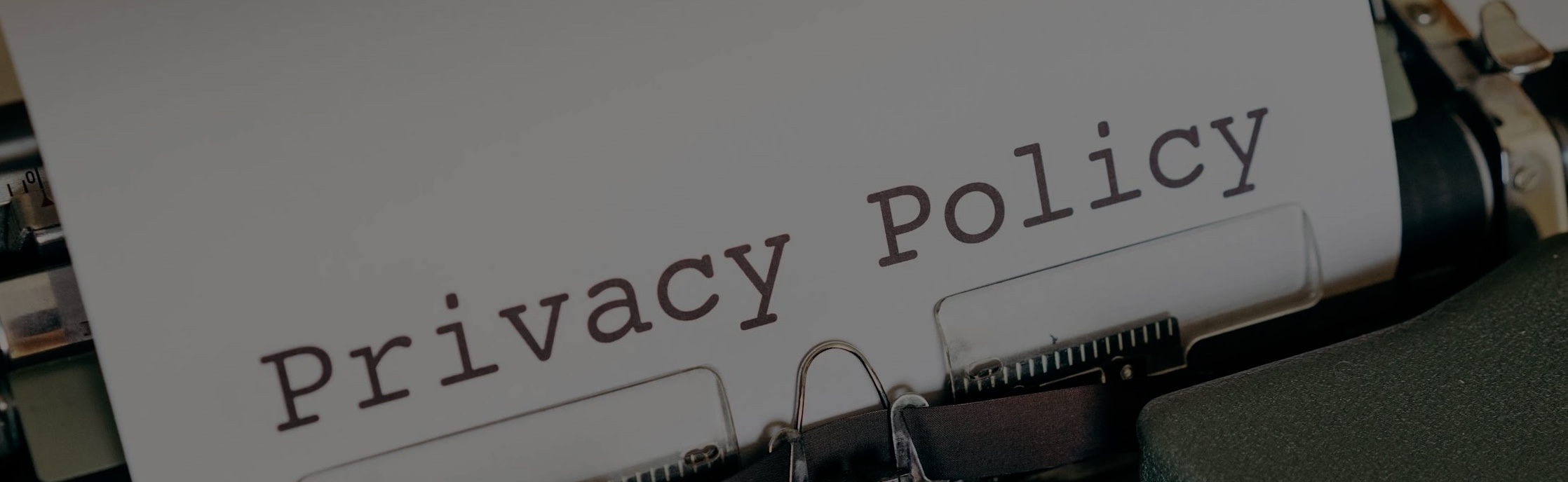 Cookie management interface with privacy controls